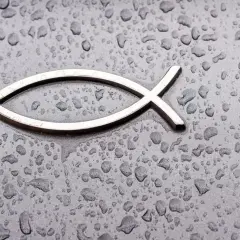 Symbol ryby znaczenie: odkryj jego głęboką historię i znaczenie