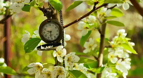 Czas wiersz – odkryj emocje i refleksje o biegu czasu w poezji